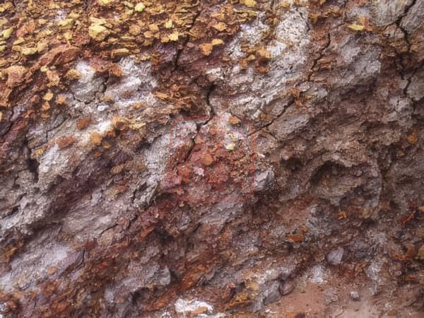 Chu Ne Nam Rai Rac Va Rat Kho Khai Thac