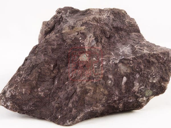 Dat Nguyen Khoang Tu Ne